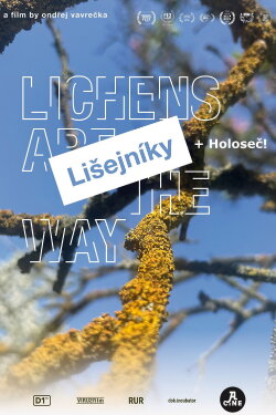 Lichens Are the Way (2025) Lichens Are the Way (2025)