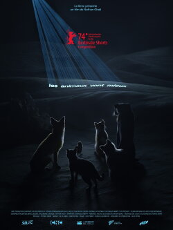 Lick a Wound (2024)