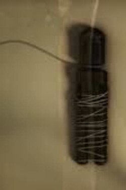 Lien (2011)