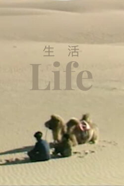 Life (1995) Life (1995)