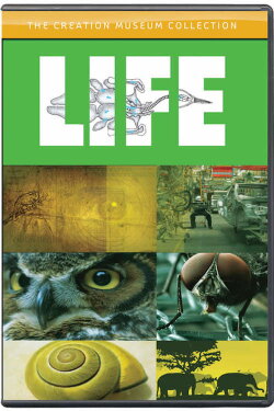Life (2007) Life (2007)