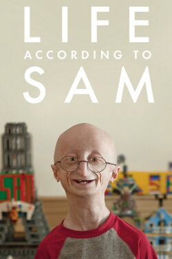 Life According to Sam (2013)