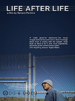 Life After Life (2017) Life After Life (2017)