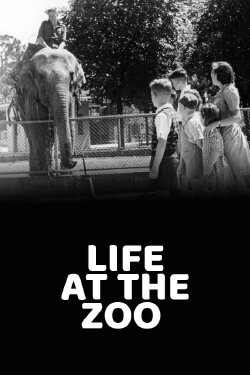 Life at the Zoo (1946) Life at the Zoo (1946)