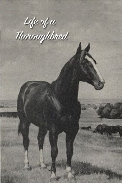Life of a Thoroughbred (1941) Life of a Thoroughbred (1941)