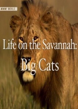 Life on the Savannah: Big Cats (2010) Life on the Savannah: Big Cats (2010)