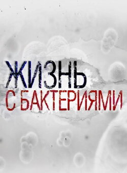 Life With Bacteria (2017)
