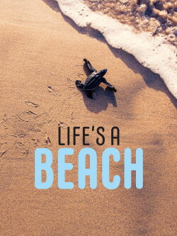 Life’s a Beach (2020)