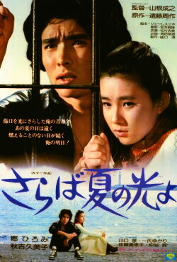 Light and Shade of Youth (1976) Light and Shade of Youth (1976)