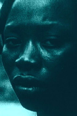 Light Being (2009)