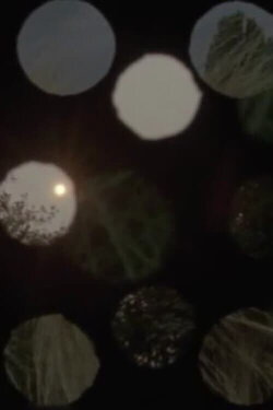 Light Coins (2018)