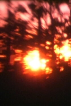 Light from the Mesa (2010)