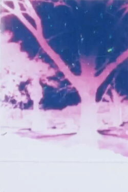 Light Play (1984)
