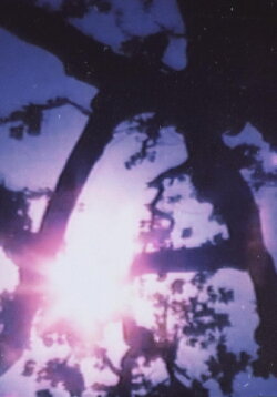 Light Point (1996)