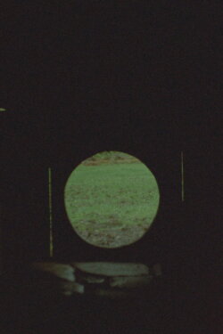 Light Signal (2022) Light Signal (2022)