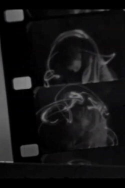 Lighting (1981) Lighting (1981)