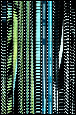 Ligne continue (1974)