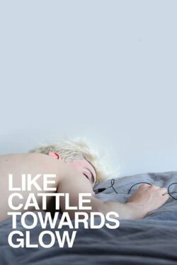 Like Cattle Towards Glow (2015) Like Cattle Towards Glow (2015)