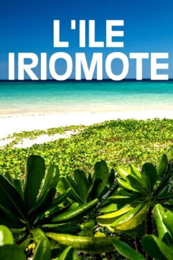 L'île Iriomote - Un paradis tropical au Japon (2023) L'île Iriomote - Un paradis tropical au Japon (2023)