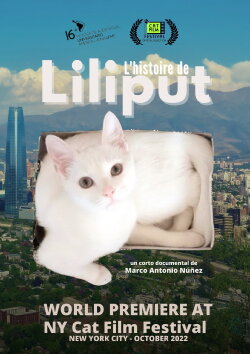 Liliput's Story (2017) Liliput's Story (2017)