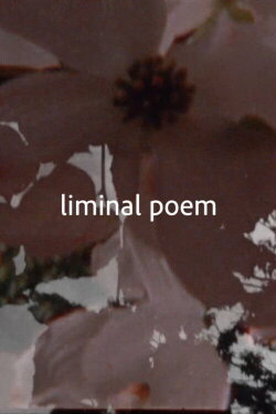 liminal poem (2020) liminal poem (2020)