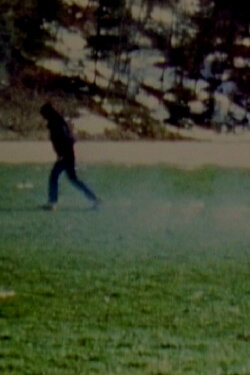 Line (1980)
