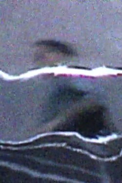 Linear Tracking (2000)