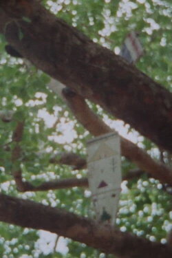 Lingaraja: Poem for the Love of the Emptiness (1971) Lingaraja: Poem for the Love of the Emptiness (1971)