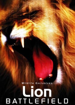 Lion Battlefield (2004) Lion Battlefield (2004)