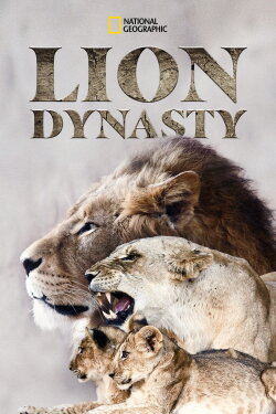 Lion Dynasty: A Matter of Pride (2021) Lion Dynasty: A Matter of Pride (2021)