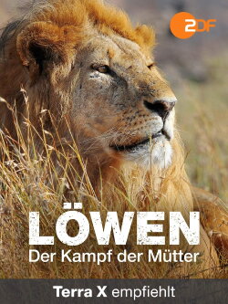 Lions - Mothers' Fight for Survival (2016) Lions - Mothers' Fight for Survival (2016)