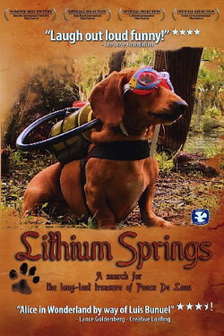 Lithium Springs (2004)