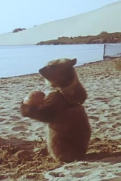 Little Bear (1981) Little Bear (1981)