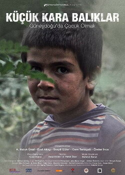 Little Black Fishes (2014)