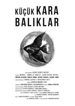 Little Black Fishes (2013) Little Black Fishes (2013)