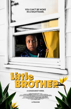 Little Brother (2020) Little Brother (2020)