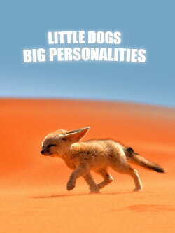 Little Dogs, Big Personalities (2021)