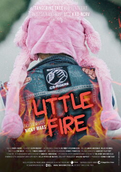 Little Fire (2017)