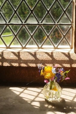 Little Flowers (2023) Little Flowers (2023)