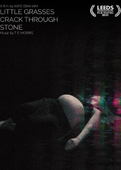 Little Grasses Crack Through Stone (2021) Little Grasses Crack Through Stone (2021)
