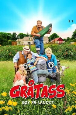 Little Grey Fergie: Country Fun! (2016) Little Grey Fergie: Country Fun! (2016)