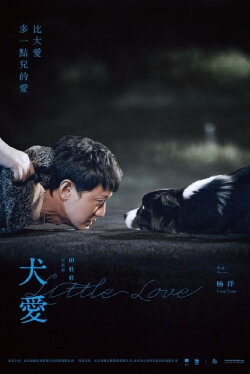 Little Love (2019) Little Love (2019)