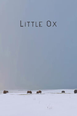 Little Ox (2021)