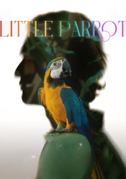 Little Parrot (2022) Little Parrot (2022)
