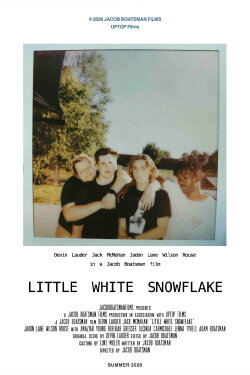 Little White Snowflake (2020) Little White Snowflake (2020)