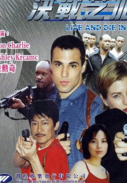 Live and Die in Chicago (2002)