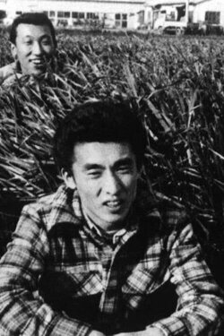 Live in Chigasaki (1978) Live in Chigasaki (1978)