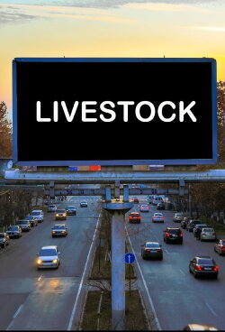 LIVESTOCK (2022) LIVESTOCK (2022)
