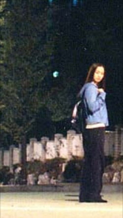Living in New Town (2003) Living in New Town (2003)