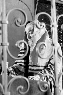 Living Stones (1957) Living Stones (1957)